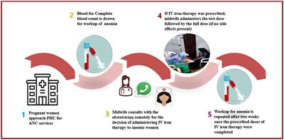 Management of iron deficiency anemia during pregnancy: a midwife-led continuity of care model